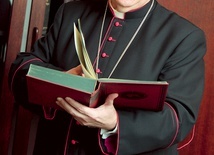 ◄	– Pragnę, żeby synod był okazją do dojrzałej wymiany uwag – mówi biskup gliwicki.