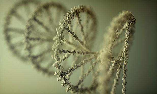 Dane w DNA?
