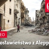 Zwiastun najnowszego "Gościa"