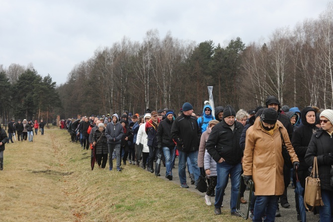 Droga Krzyżowa w intencji trzeźwości w byłym KL Birkenau 2017