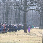 Droga Krzyżowa w intencji trzeźwości w byłym KL Birkenau 2017