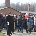 Droga Krzyżowa w intencji trzeźwości w byłym KL Birkenau 2017