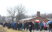 Droga Krzyżowa w intencji trzeźwości w byłym KL Birkenau 2017