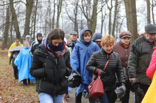 Droga Krzyżowa w intencji trzeźwości w byłym KL Birkenau 2017