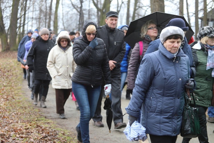 Droga Krzyżowa w intencji trzeźwości w byłym KL Birkenau 2017