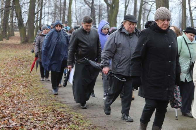 Droga Krzyżowa w intencji trzeźwości w byłym KL Birkenau 2017