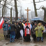 Droga Krzyżowa w intencji trzeźwości w byłym KL Birkenau 2017