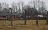 Droga Krzyżowa w intencji trzeźwości w byłym KL Birkenau 2017