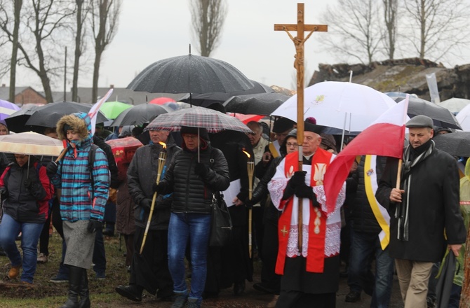 Droga Krzyżowa w intencji trzeźwości w byłym KL Birkenau 2017