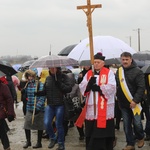 Droga Krzyżowa w intencji trzeźwości w byłym KL Birkenau 2017