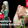 Zwiastun najnowszego "Gościa"