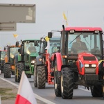 Powitanie ikony MB Częstochowskiej w Brzozowie