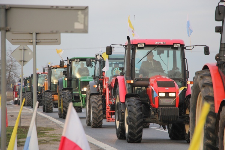 Powitanie ikony MB Częstochowskiej w Brzozowie