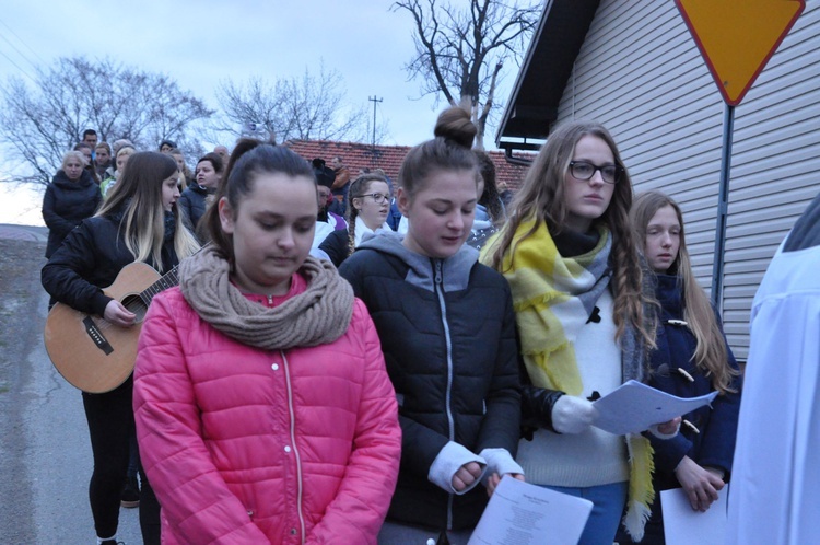 Droga Krzyżowa w Trzetrzewinie