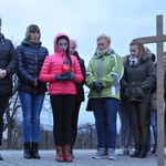 Droga Krzyżowa w Trzetrzewinie