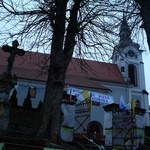 Dzikowiec