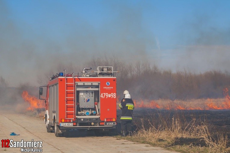 Pożary traw w powiecie sandomierskim 