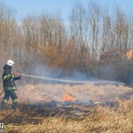 Pożary traw w powiecie sandomierskim 