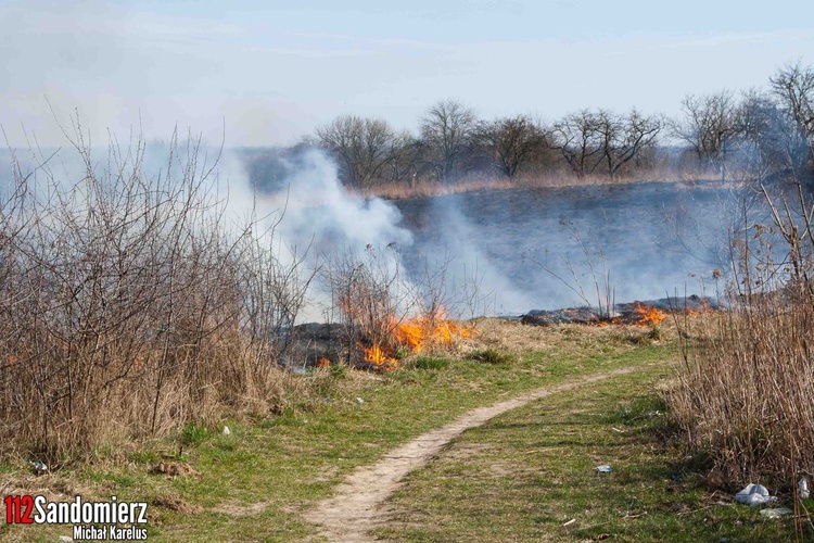 Pożary traw w powiecie sandomierskim 