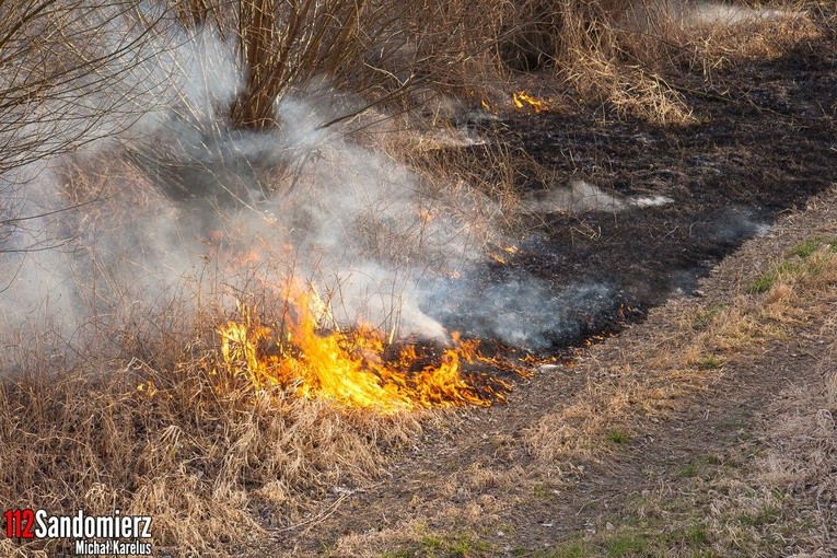 Pożary traw w powiecie sandomierskim 