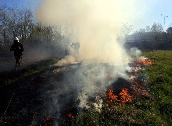 Pożary traw w powiecie sandomierskim 