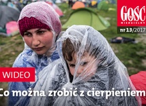 Zwiastun najnowszego "Gościa"