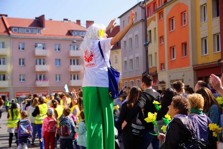 Marsz Żonkilowy w Oławie