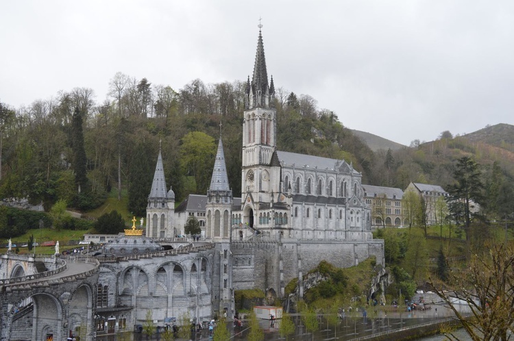 Samolotem prosto do Lourdes