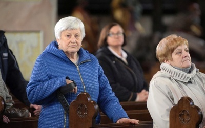 Rozpoczęcie polsko-czeskiego roku kulturalnego w Świdnicy