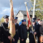 Powitanie ikony MB Częstochowskiej w Pleckiej Dąbrowie