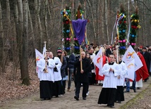 Po Mszy św. wyruszy procesja z palmami do pól