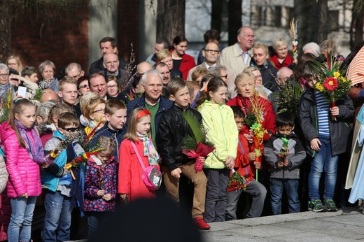 Niedziela Palmowa w Piekarach Śląskich