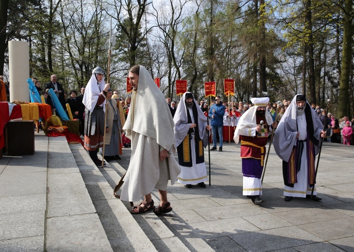 Niedziela Palmowa w Piekarach Śląskich