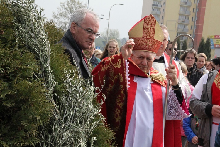 Niedziela Palmowa w Tarnobrzegu