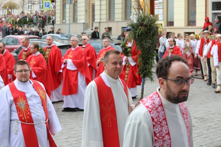 Niedziela Palmowa młodych w bielskiej katedrze - 2017