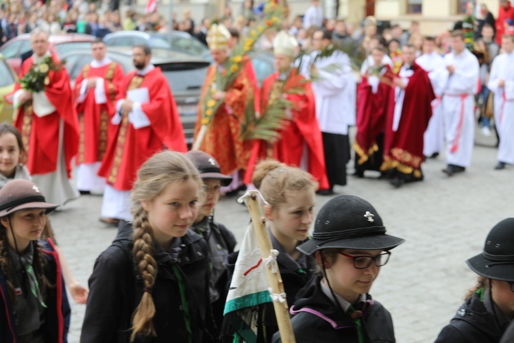 Niedziela Palmowa młodych w bielskiej katedrze - 2017