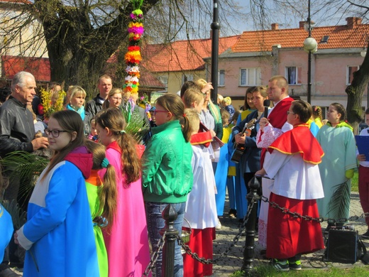 Niedziela Palmowa w Drezdenku