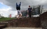 King Kong w Krakowie