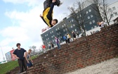 King Kong w Krakowie