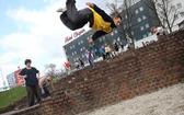 King Kong w Krakowie