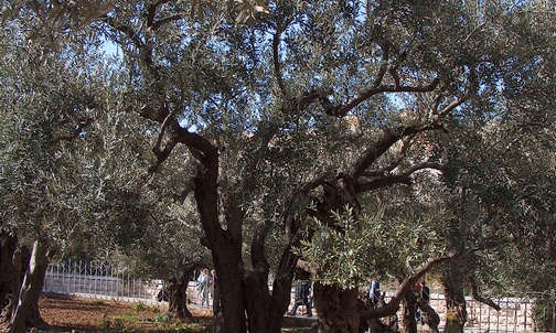 Miejsca Wielkiego Czwartku dziś