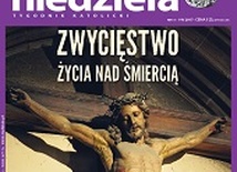 Niedziela 15/2017