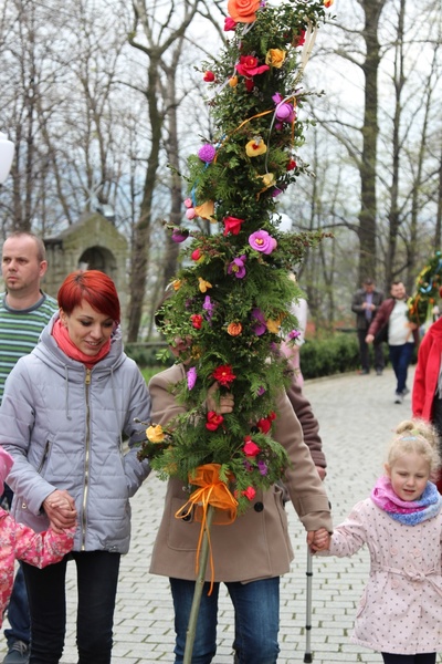 Palmowa procesja w Czańcu - 2017