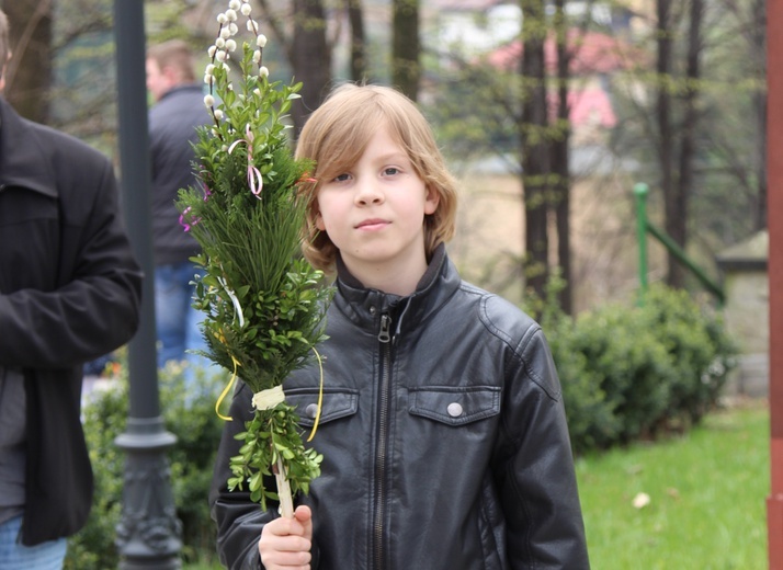 Palmowa procesja w Czańcu - 2017