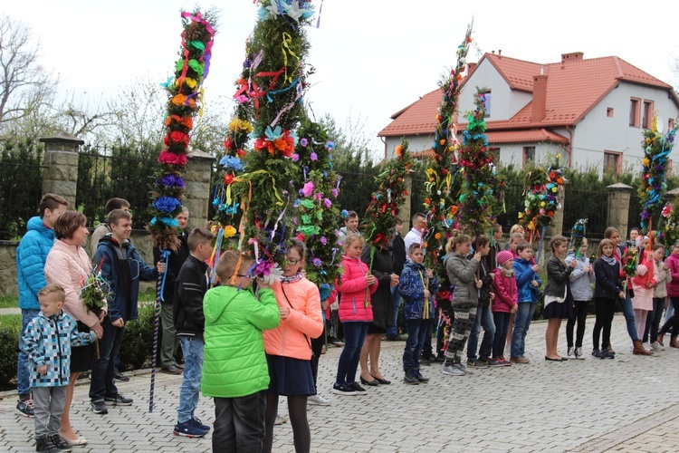 Palmowa procesja w Czańcu - 2017