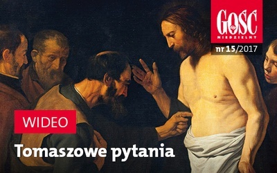 Zwiastun najnowszego "Gościa"