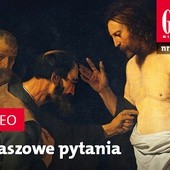 Zwiastun najnowszego "Gościa"