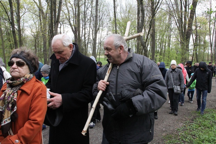 Nabożeństwo w dzikowskim parku