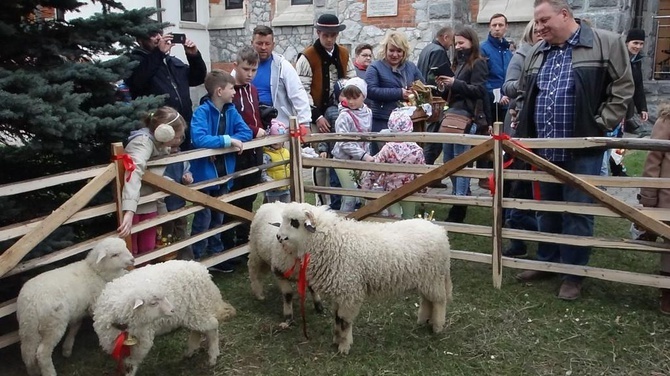 Święcenie pokarmów wspólnie z owieczkami 