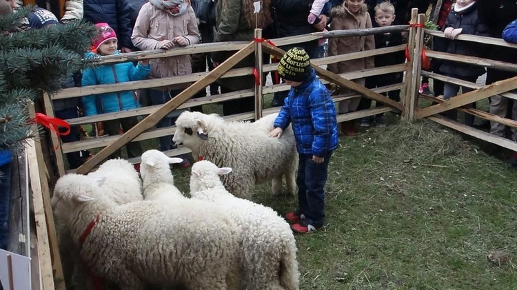 Święcenie pokarmów wspólnie z owieczkami 